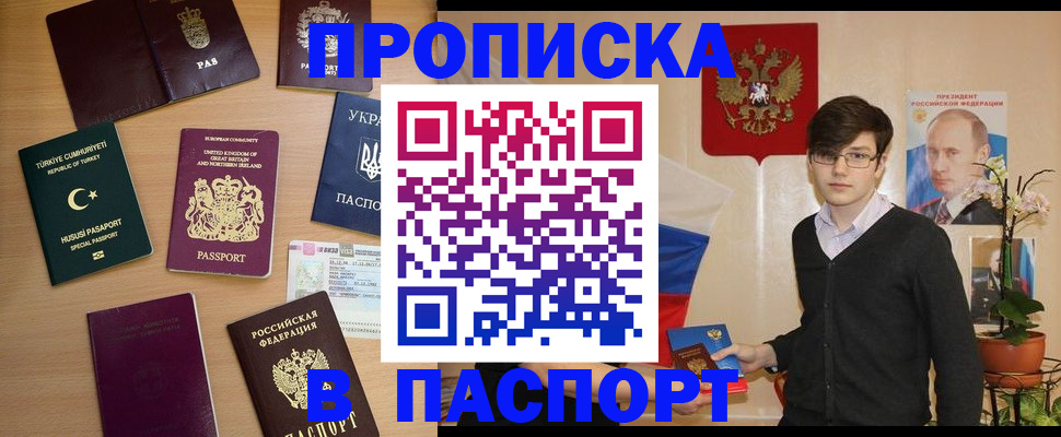 прописка 2025 в Камышине